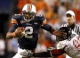 CamNewton2 CamNewton2